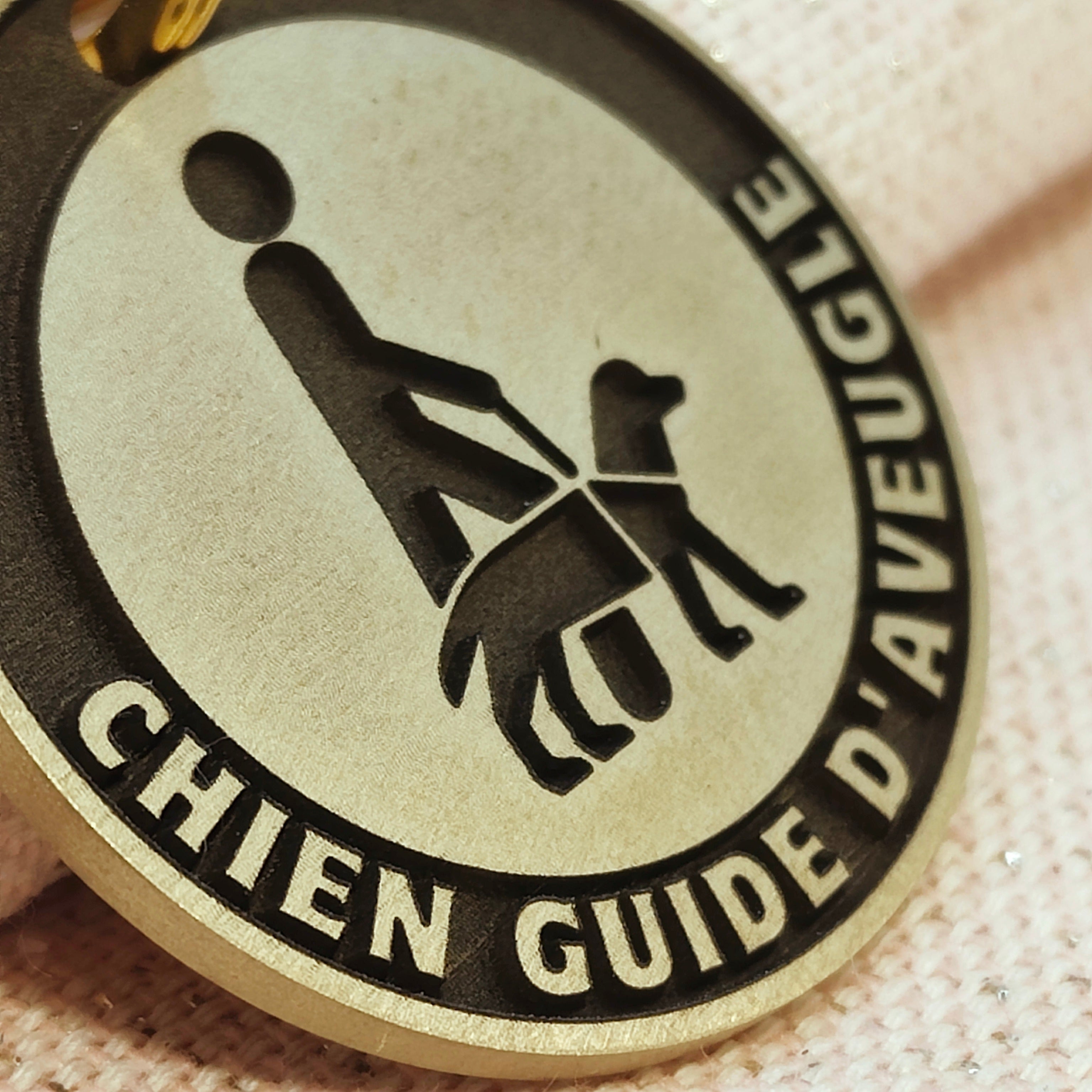 Médaille Chien Guide d'Aveugle en Laiton - Gravure Profonde Inaltérable - Plaque d'Identification pour Chien d'Assistance et de Travail