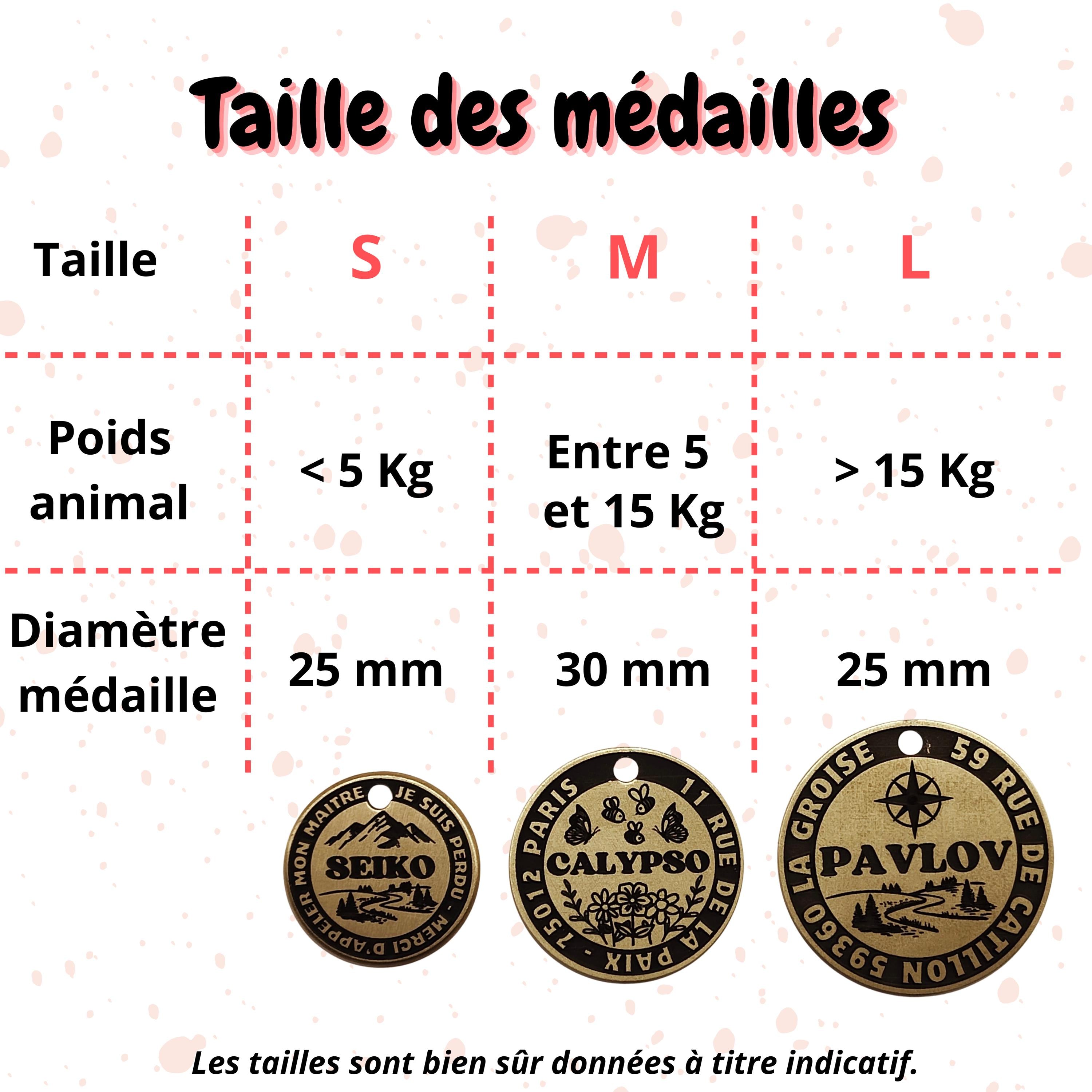 Cadeau pour chien et chat - Médaille originale en laiton - médaillon d'identification pour animaux - gravée en France - idéa cadeau noel